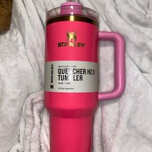 Pink Parade 40oz Stanley